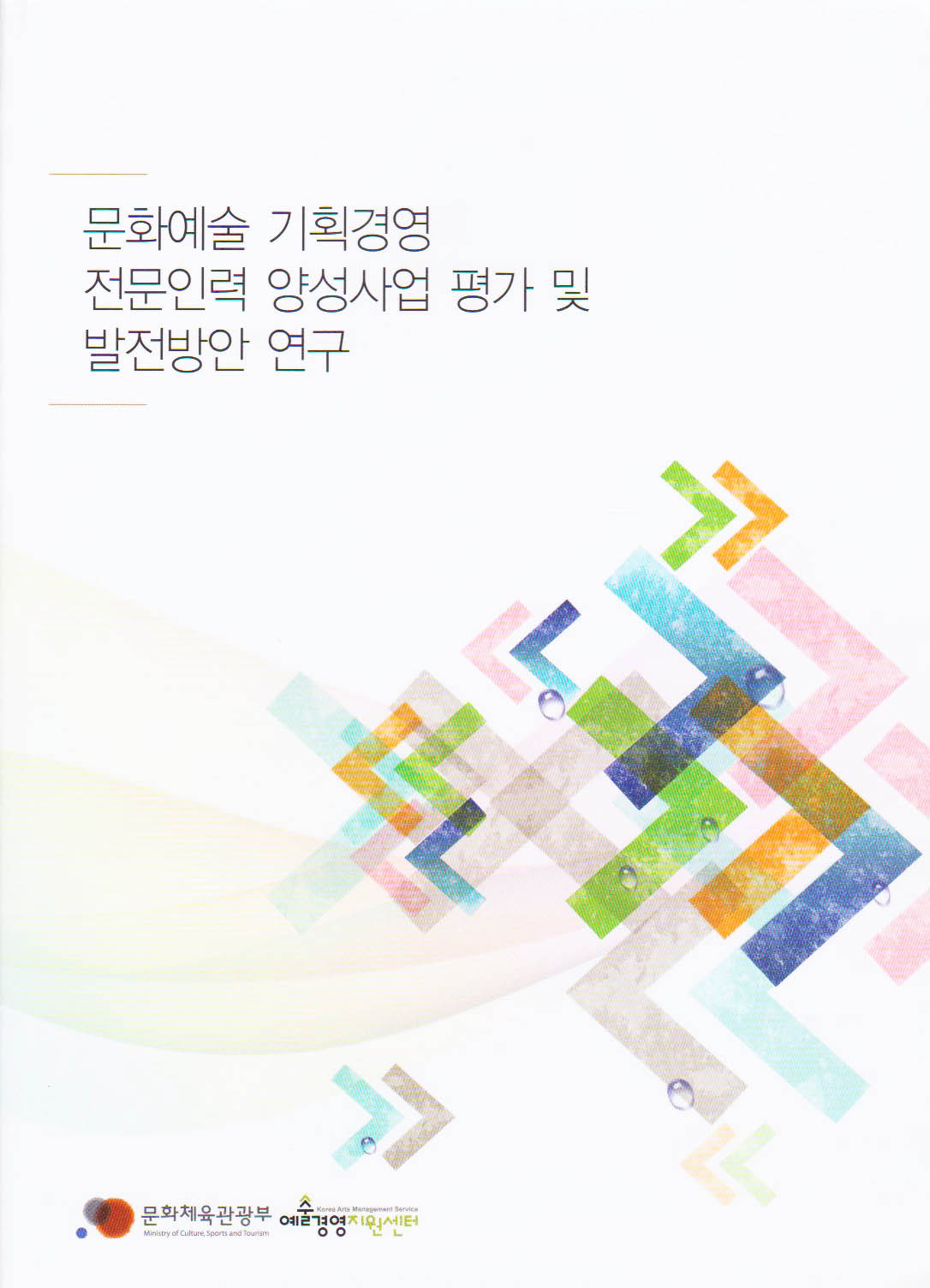 2010 문화예술 기획경영 전문인력 양성사업 평가 및 발전방안연구 