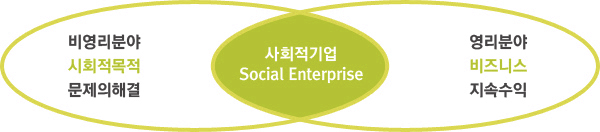 [도식] 사회적기업의 개념