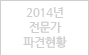 2013년 전문가 파견현황