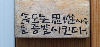 강원도의 힘!