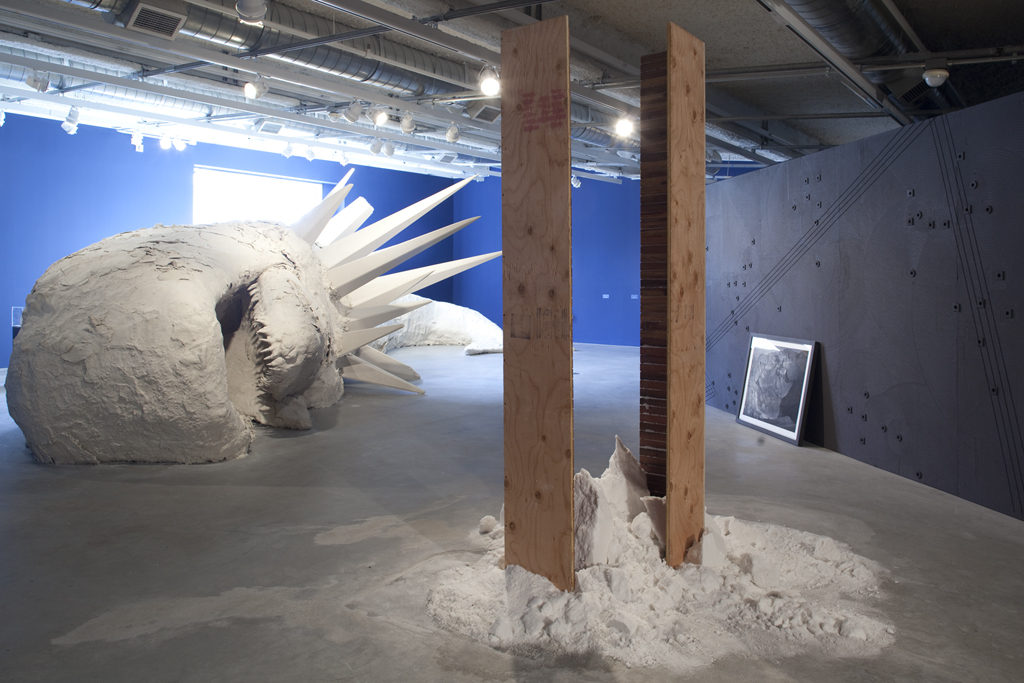 ≪모비-딕≫ Photo Johnna Arnold (Installation view Moby Dick, Sep.22–Dec.12,2009)