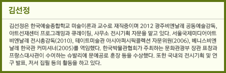 김선정은 한국예술종합학교 미술이론과 교수로 재직중이며 2012 광주비엔날레 공동예술감독, 아트선재센터 프로그래밍과 큐레이팅, 사무소 전시기획 자문을 맡고 있다. 서울국제미디어아트비엔날레 전시총감독(2010), 테이트미술관 아시아퍼시픽콜렉션 자문위원(2006), 베니스비엔날레 한국관 커미셔너(2005)를 역임했다. 한국박물관협회가 주최하는 문화관광부 장관 표창과 프랑스대사관이 수여하는 슈발리에 문예공로 훈장 등을 수상했다. 또한 국내외 전시기획 및 연구 발표, 저서 집필 등의 활동을 하고 있다.