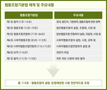 협동조합기본법체계 및 주요내용