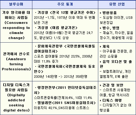 ▲「국가통계에서 찾아낸 2013 뉴 블루슈머」자료출처: 통계청