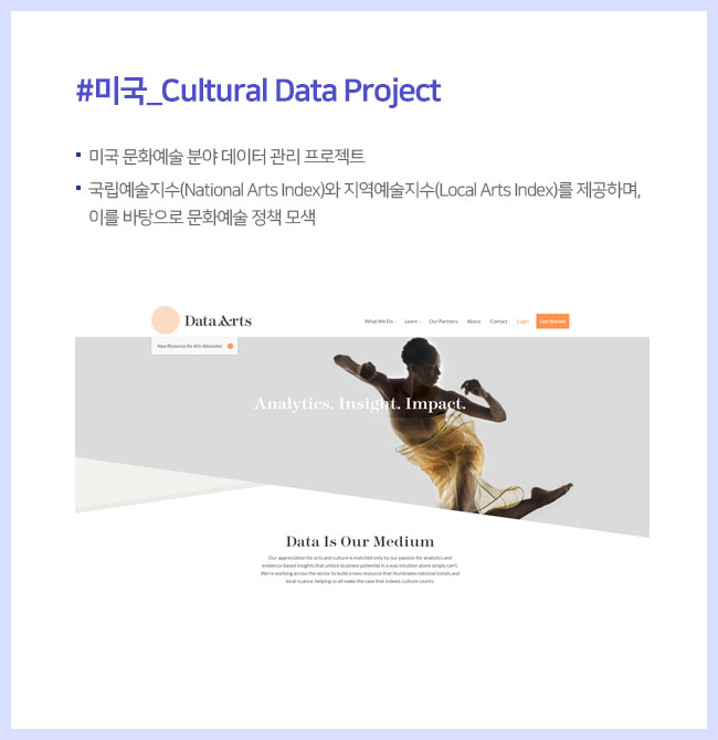 #미국_Cultural Data Project 